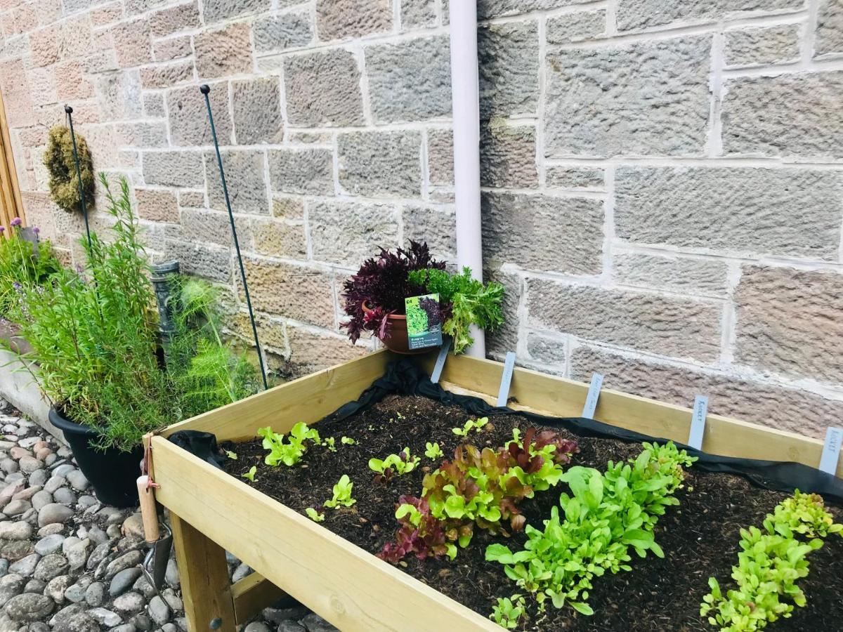 Brylach Steading Aberlour Buitenkant foto